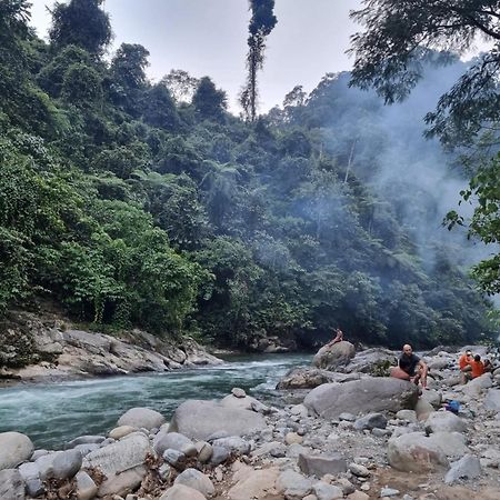 Lucky Bamboo'Bungalows-Resto And Orangutan Jungle Trekking Tours Bukit Lawang Ngoại thất bức ảnh