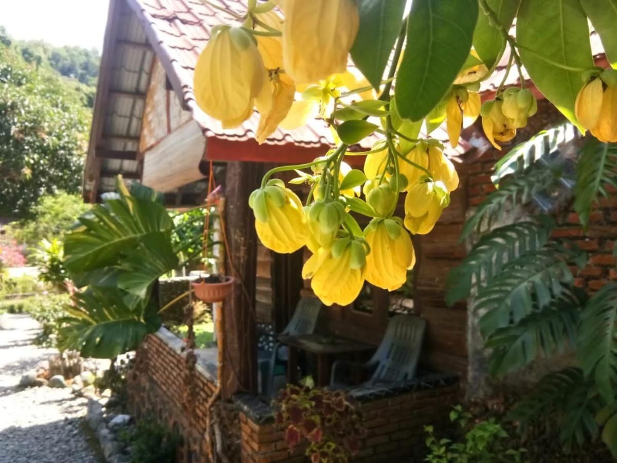 Lucky Bamboo'Bungalows-Resto And Orangutan Jungle Trekking Tours Bukit Lawang Ngoại thất bức ảnh