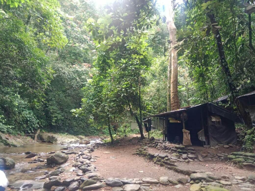 Lucky Bamboo'Bungalows-Resto And Orangutan Jungle Trekking Tours Bukit Lawang Ngoại thất bức ảnh