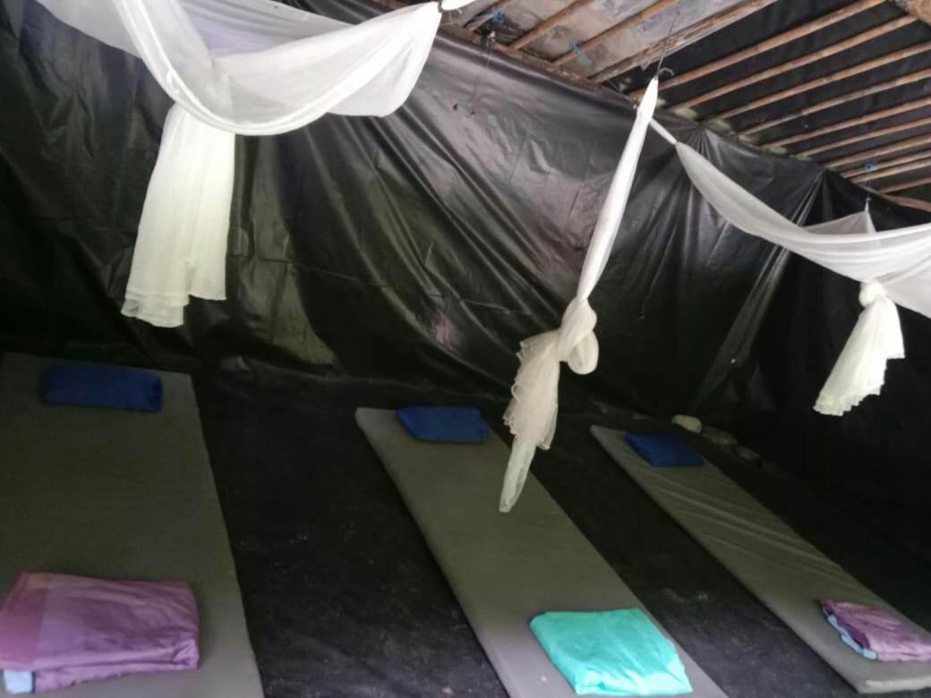 Lucky Bamboo'Bungalows-Resto And Orangutan Jungle Trekking Tours Bukit Lawang Ngoại thất bức ảnh