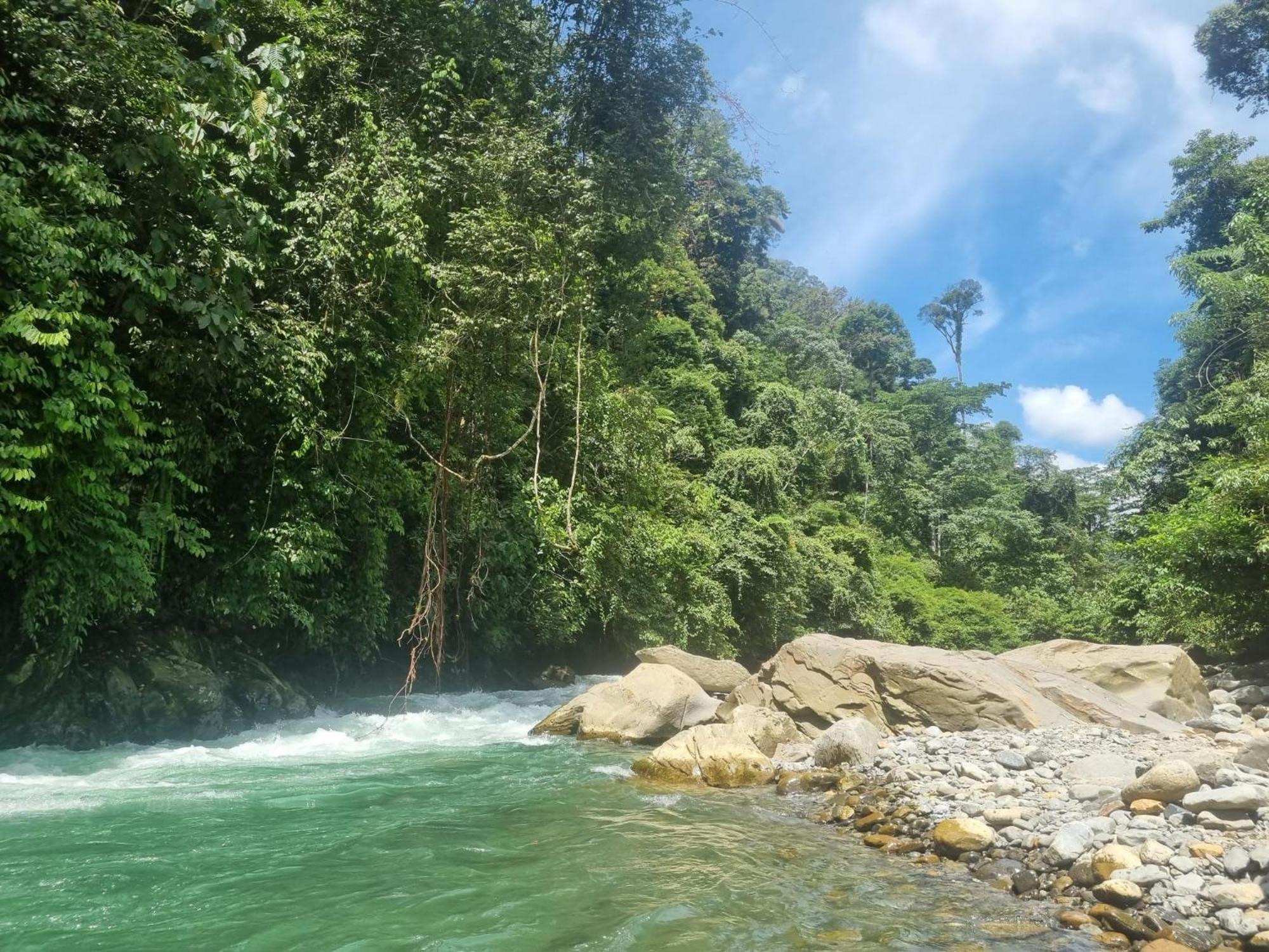 Lucky Bamboo'Bungalows-Resto And Orangutan Jungle Trekking Tours Bukit Lawang Ngoại thất bức ảnh
