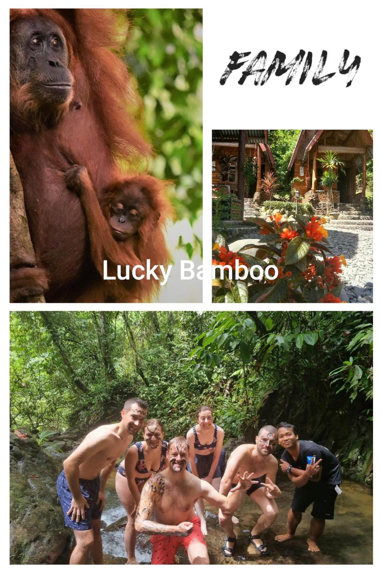 Lucky Bamboo'Bungalows-Resto And Orangutan Jungle Trekking Tours Bukit Lawang Ngoại thất bức ảnh