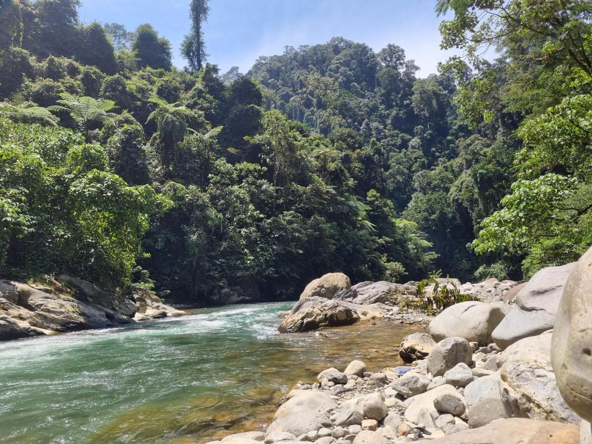 Lucky Bamboo'Bungalows-Resto And Orangutan Jungle Trekking Tours Bukit Lawang Ngoại thất bức ảnh